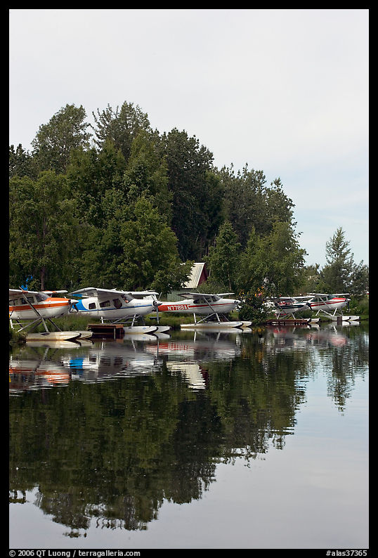 Seaplanes on the shore of Lake Hood, the largest sea plane base in the world. Anchorage, Alaska, USA