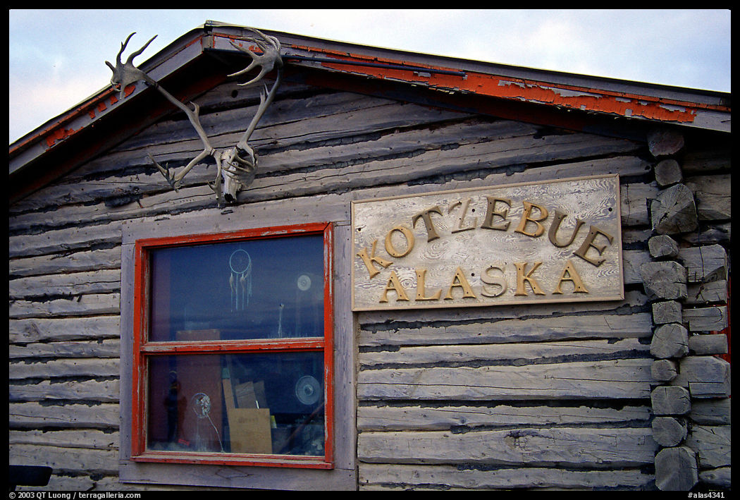 Log cabin with caribou antlers. Kotzebue, North Western Alaska, USA