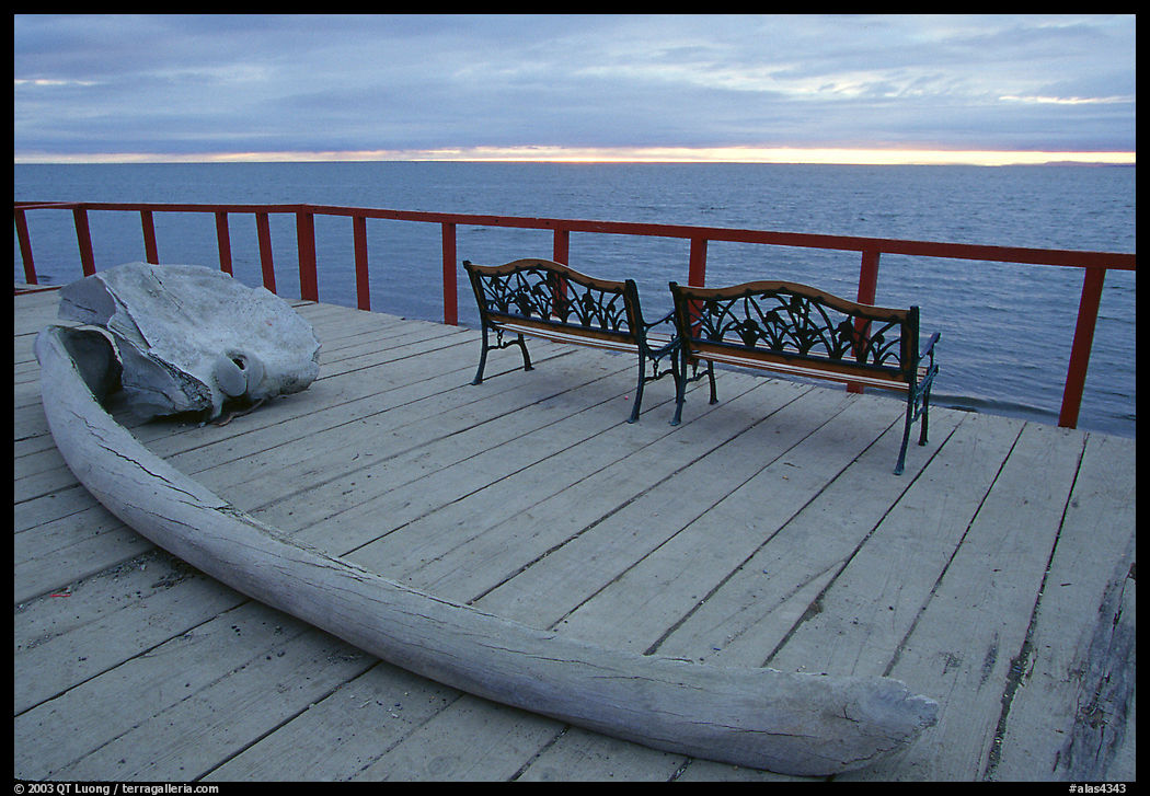 Whale bone and Kotzebue sound, looking towards the Bering sea. Kotzebue, North Western Alaska, USA
