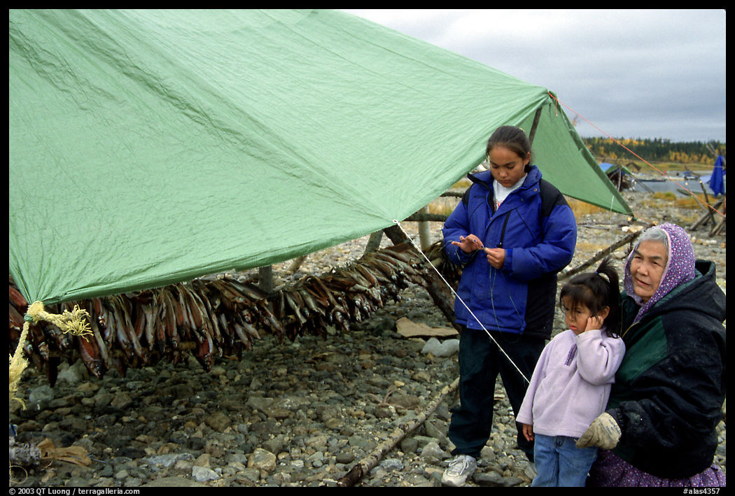 Inupiaq Eskimo family with stand of drying fish, Ambler. North Western Alaska, USA
