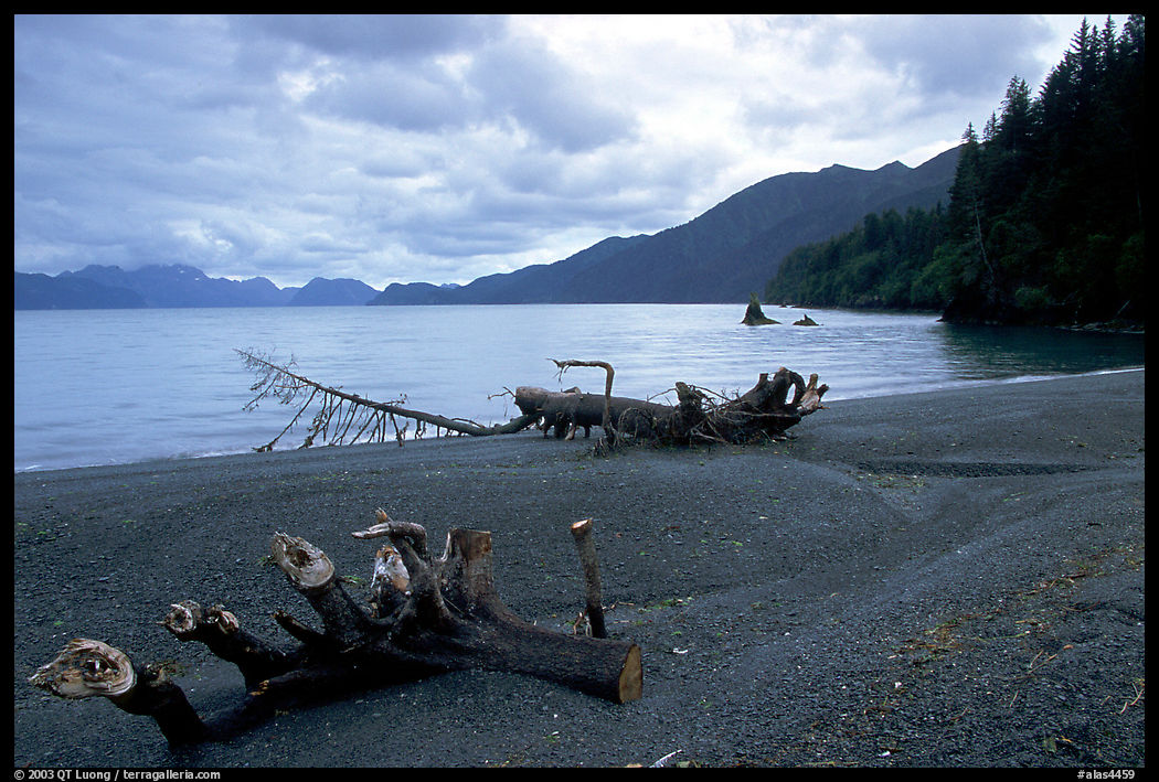 Beach and Resurection Bay at Lowell Point. Seward, Kenai Peninsula, Alaska, USA
