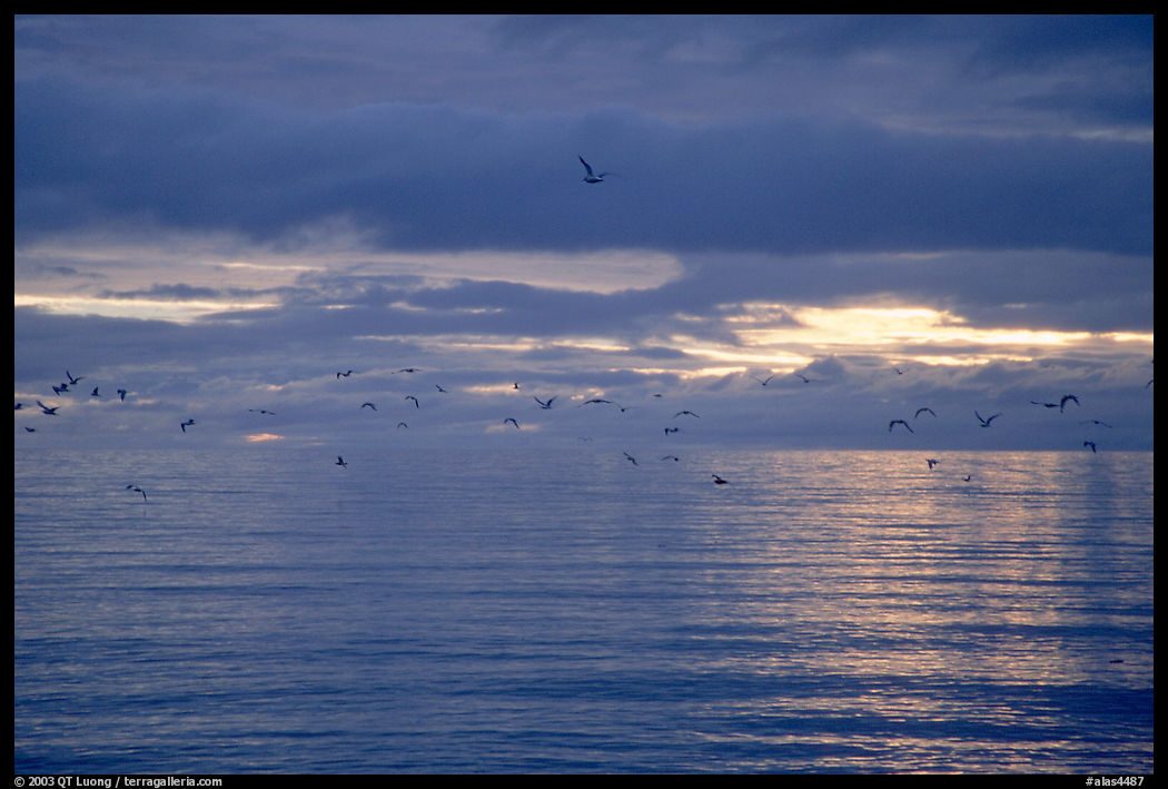 Katchemak Bay. Homer, Kenai Peninsula, Alaska, USA
