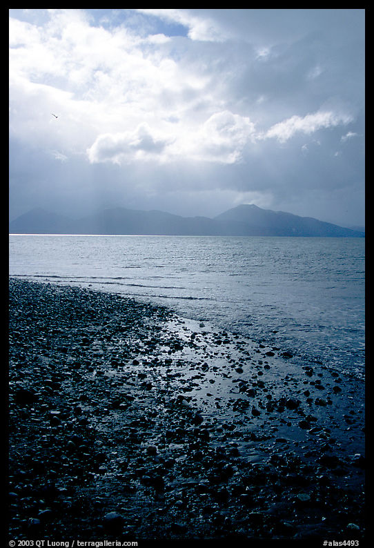 Katchemak Bay from the Spit, Kenai Mountains in the backgound. Homer, Kenai Peninsula, Alaska, USA