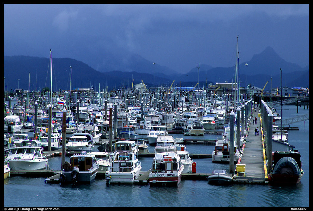 Small Boat Harbor on the Spit. Homer, Kenai Peninsula, Alaska, USA