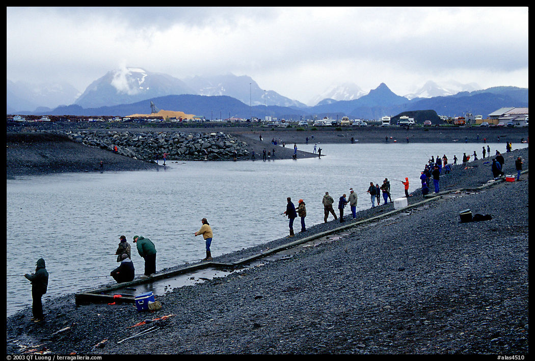 The Fishing Hole. Homer, Kenai Peninsula, Alaska, USA