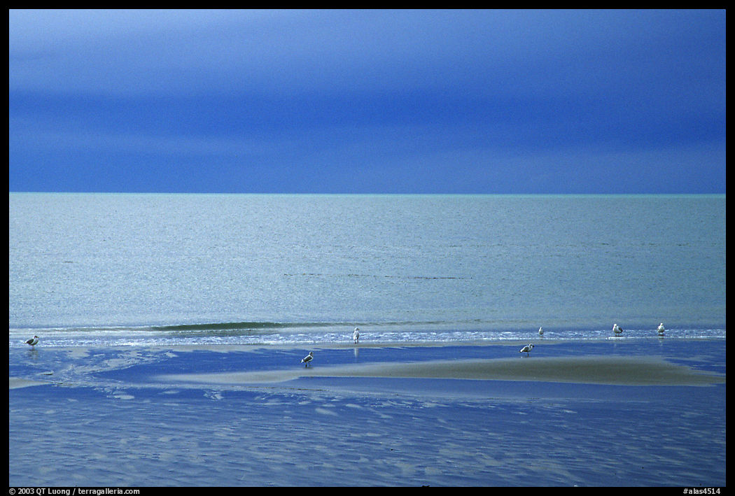 Stormy skies on the Bay. Homer, Kenai Peninsula, Alaska, USA