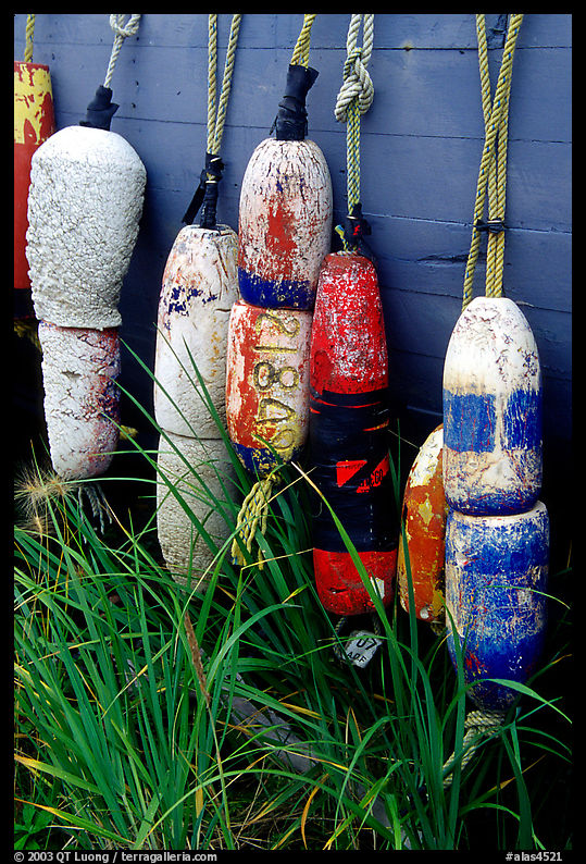 Buoys hanging on the side of a boat. Homer, Kenai Peninsula, Alaska, USA
