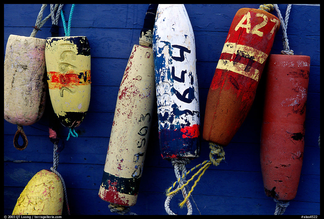 Buoys hanging on the side of a boat. Homer, Kenai Peninsula, Alaska, USA