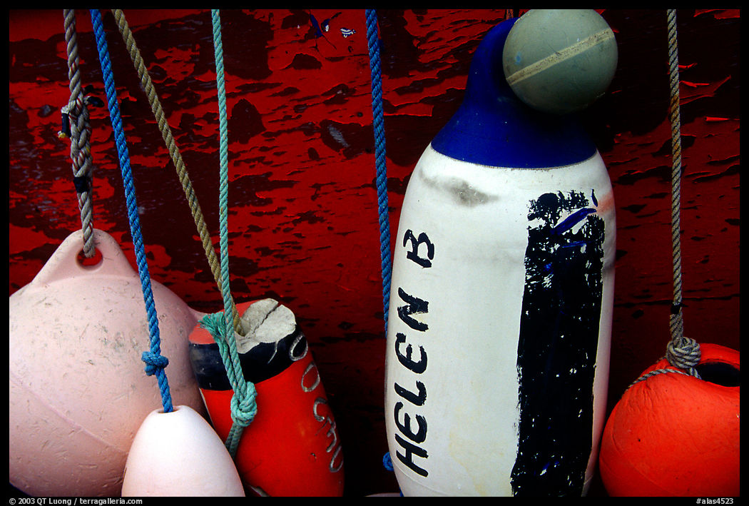 Buoys hanging on the side of a boat. Homer, Kenai Peninsula, Alaska, USA