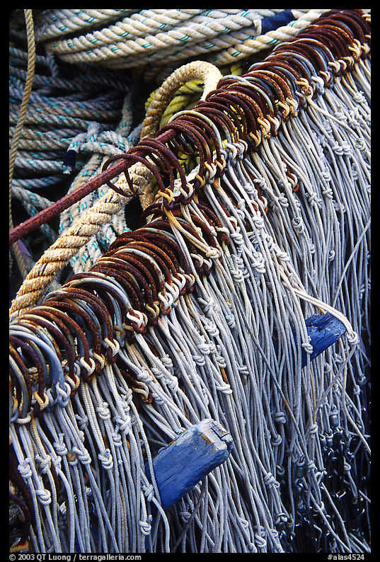 Fishing hooks. Homer, Kenai Peninsula, Alaska, USA
