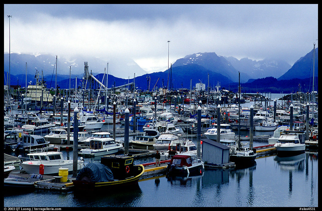 Small Boat Harbor on the Spit with Kenai Mountains in the backgound. Homer, Kenai Peninsula, Alaska, USA