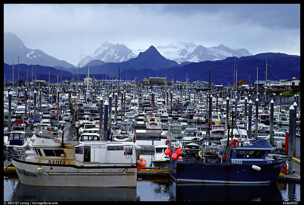 Small Boat Harbour on the Spit with Kenai Mountains in the backgound. Homer, Kenai Peninsula, Alaska, USA