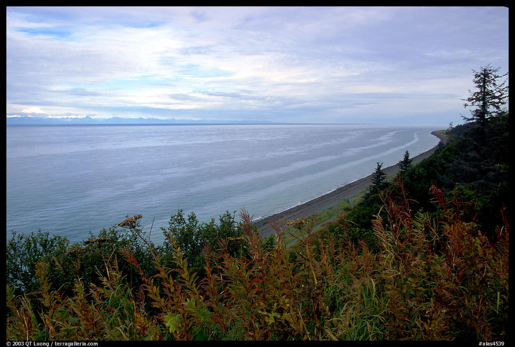 Cook Inlet. Ninilchik, Kenai Peninsula, Alaska, USA