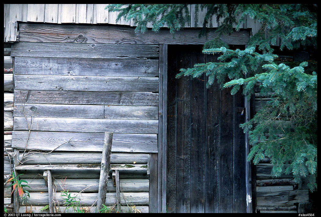 Cabin detail. Hope, Kenai Peninsula, Alaska, USA