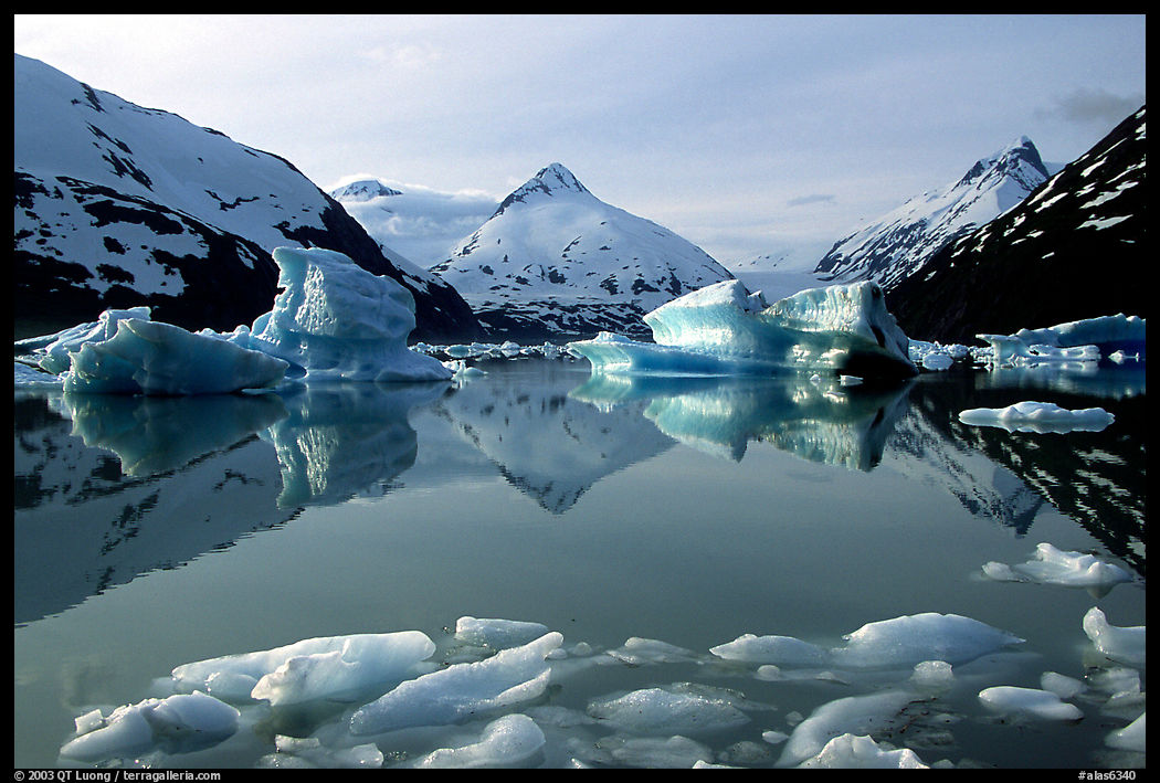 Portage Lake, with icebergs and mountain reflexions. Alaska, USA