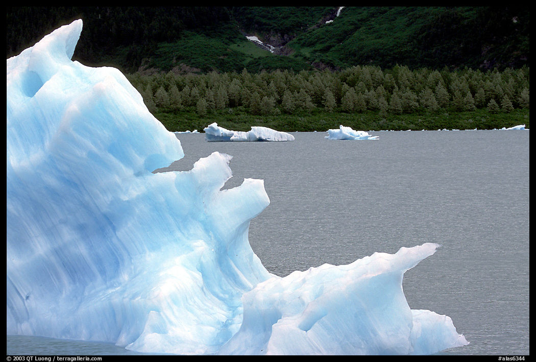 Icebergs in Portage Lake. Alaska, USA