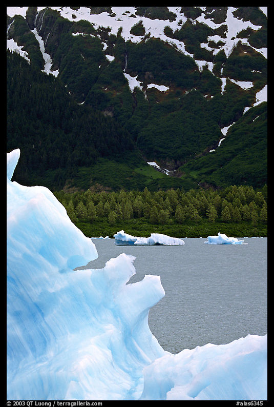 Icebergs in Portage Lake. Alaska, USA