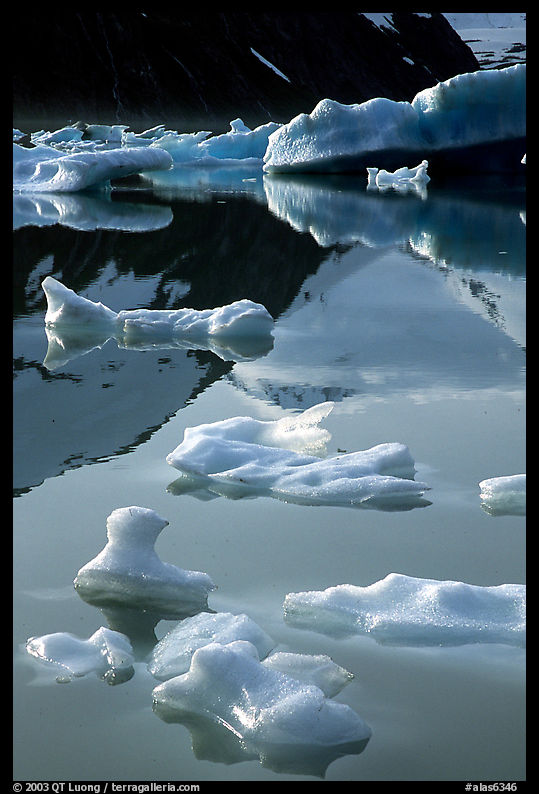 Icebergs in Portage Lake with mountain reflexions. Alaska, USA