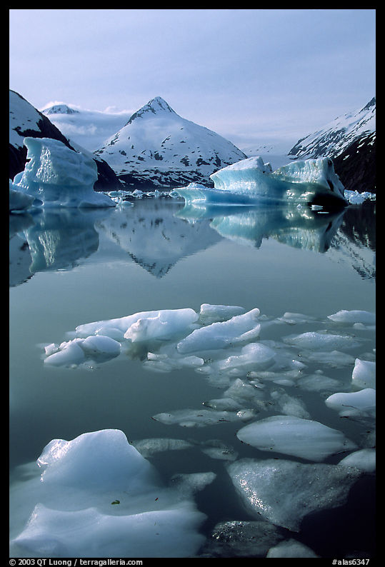 Icebergs in Portage Lake with mountain reflexions. Alaska, USA