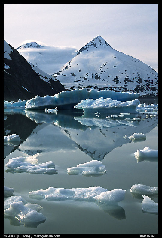 Icebergs in Portage Lake with mountain reflexions. Alaska, USA