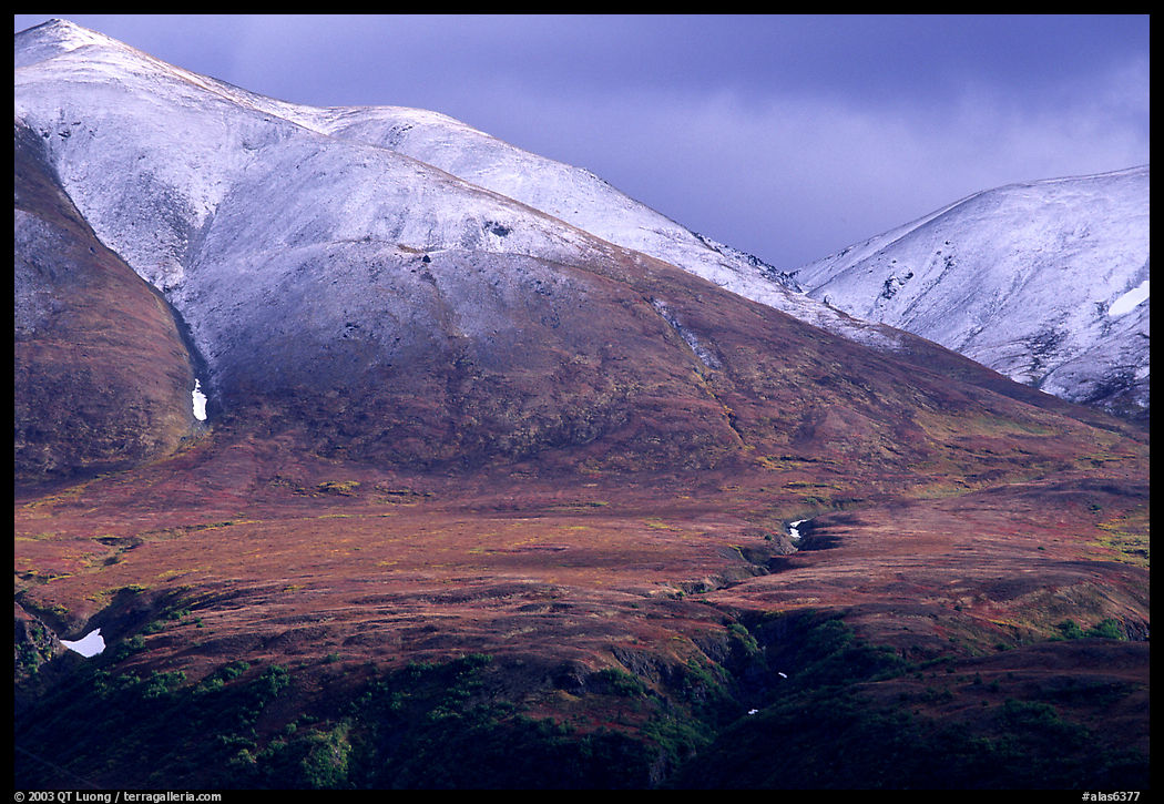 Mountains with early autumn snow. Denali Highway, Central Alaska, USA