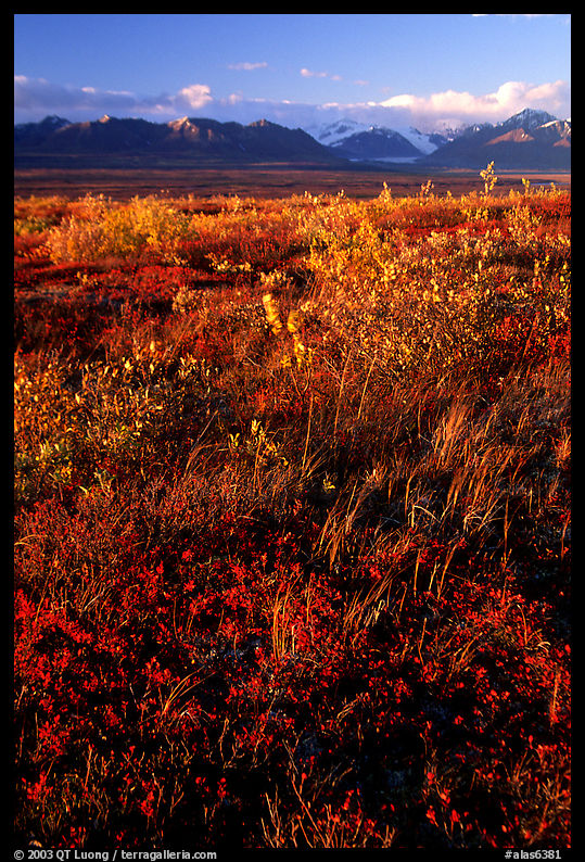 Tundra and mountains and sunset. Denali Highway, Central Alaska, USA