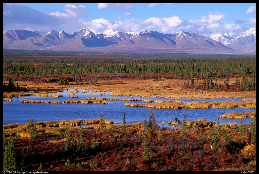Kettle Lakes, tundra, and mountains. Denali Highway, Central Alaska, USA