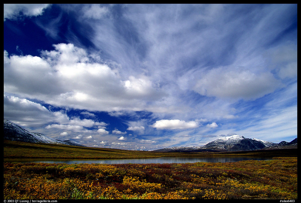 Tundra in fall color, lake, and sky dominated by large clouds. Denali Highway, Central Alaska, USA