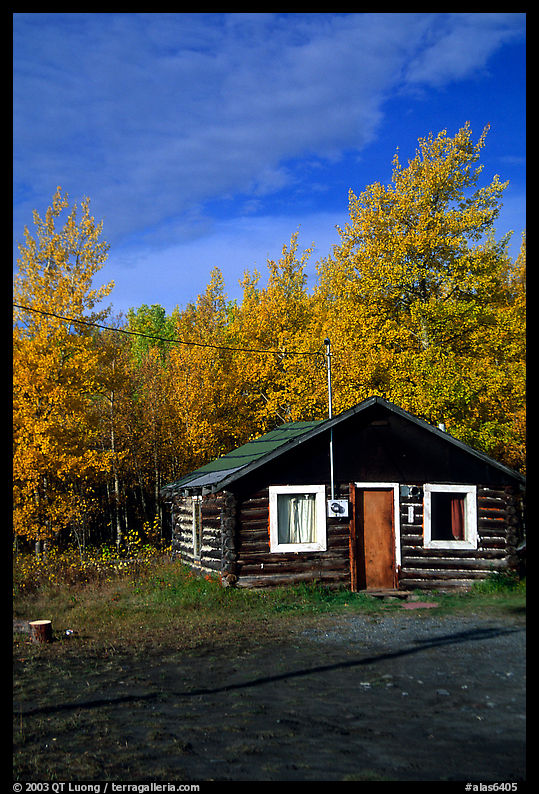 Log cabin and trees in fall color. Denali Highway, Central Alaska, USA