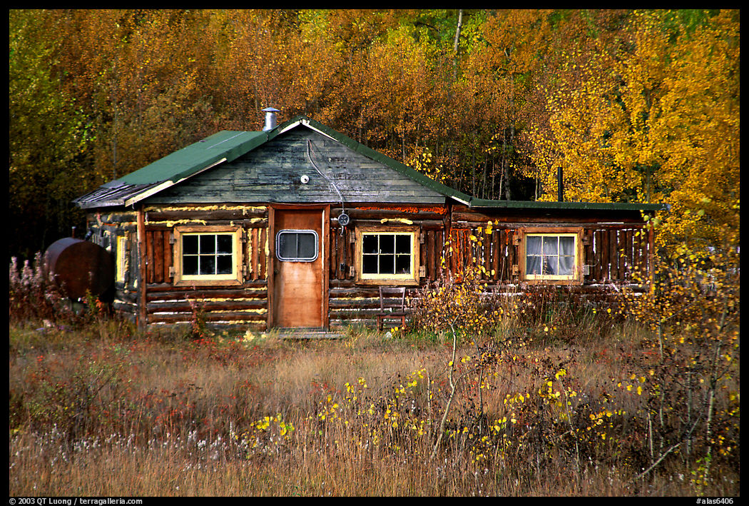 Wooden cabin. Denali Highway, Central Alaska, USA