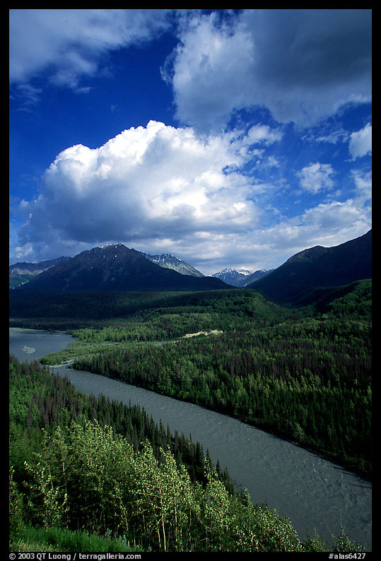 Matanuska River and Chugach mountains in summer. Glenn Highway, Central Alaska, USA