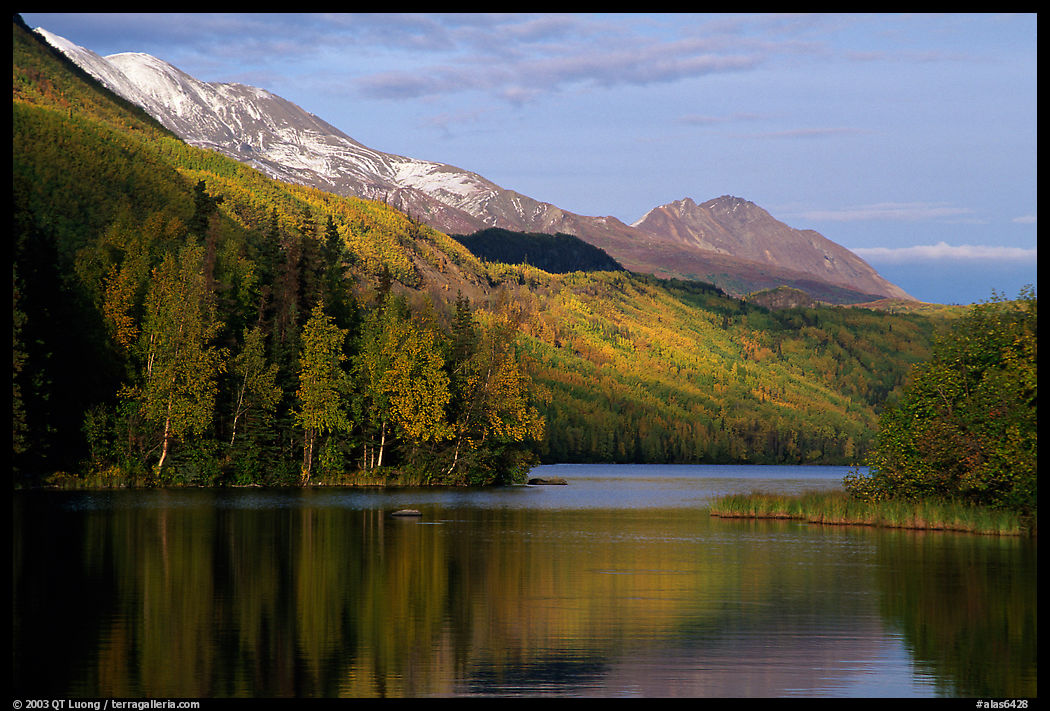 Long Lake with Autum Aspens, late afternoon. Glenn Highway, Central Alaska, USA