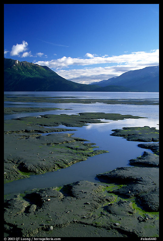 Mud flats, Turnagain Arm. Seward Highway, Kenai Peninsula, Alaska, USA