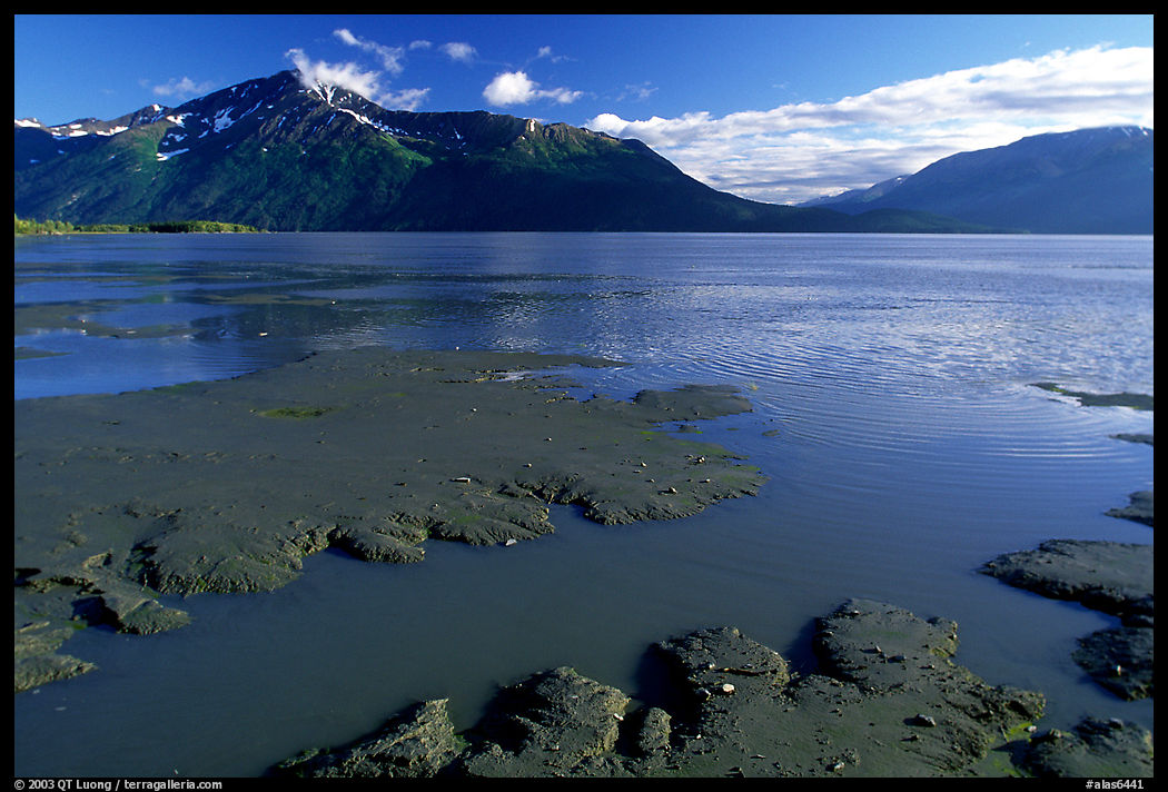 Mud flats, Turnagain Arm. Seward Highway, Kenai Peninsula, Alaska, USA