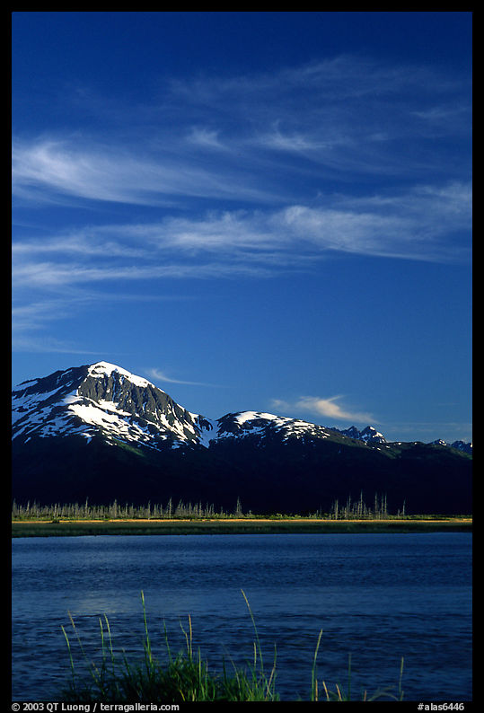 Mountains and Turnagain Arm near Portage. Seward Highway, Kenai Peninsula, Alaska, USA