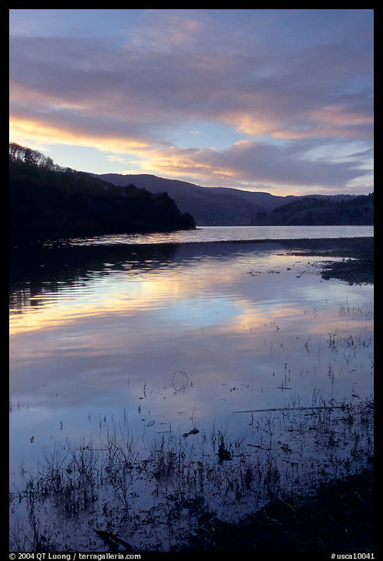Humbolt Lagoon, sunrise. California, USA