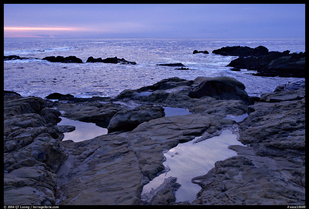 Tide pool  at sunset, Weston Beach. Point Lobos State Preserve, California, USA