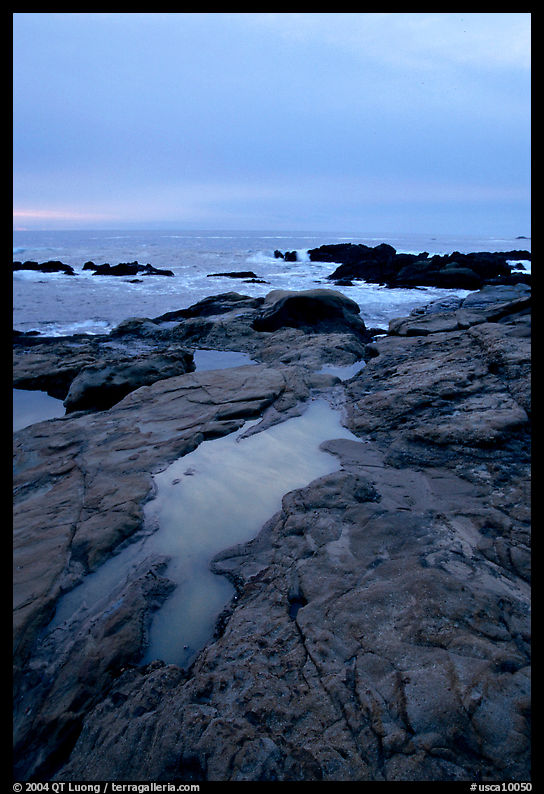 Tide pool  at sunset, Weston Beach. Point Lobos State Preserve, California, USA