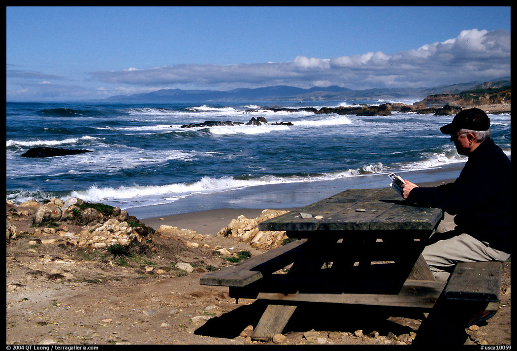 Man reading on a picnic table, Bean Hollow State Beach. San Mateo County, California, USA