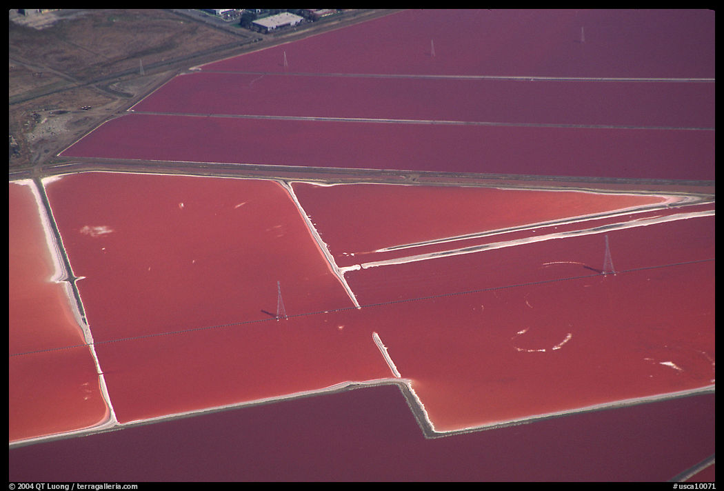 Aerial view of marsh patches in the South Bay. Redwood City, SF Bay area, California, USA
