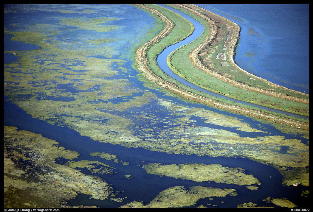 Aerial view of wetlands in the South Bay. Redwood City, SF Bay area, California, USA