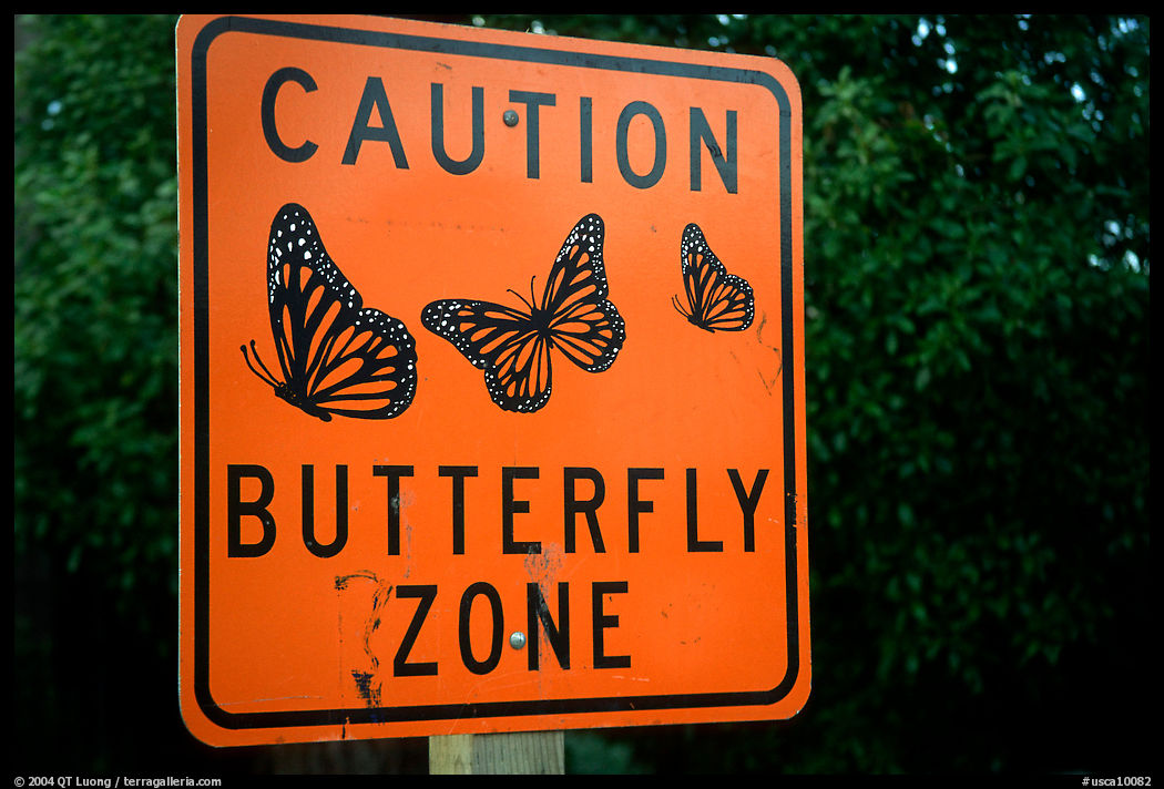 Monarch Butterfly sign in Pacific Grove. California, USA