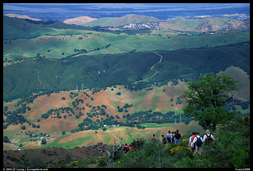 Group of Hikers descending slopes, Mt Diablo State Park. SF Bay area, California, USA