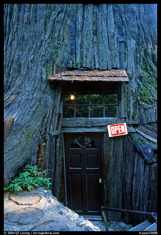 Entrance of the World Famous Tree House, near Leggett. California, USA