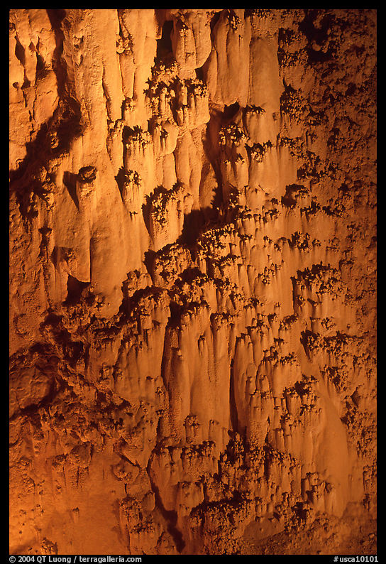 Rare cave formations, Mitchell caverns. Mojave National Preserve, California, USA