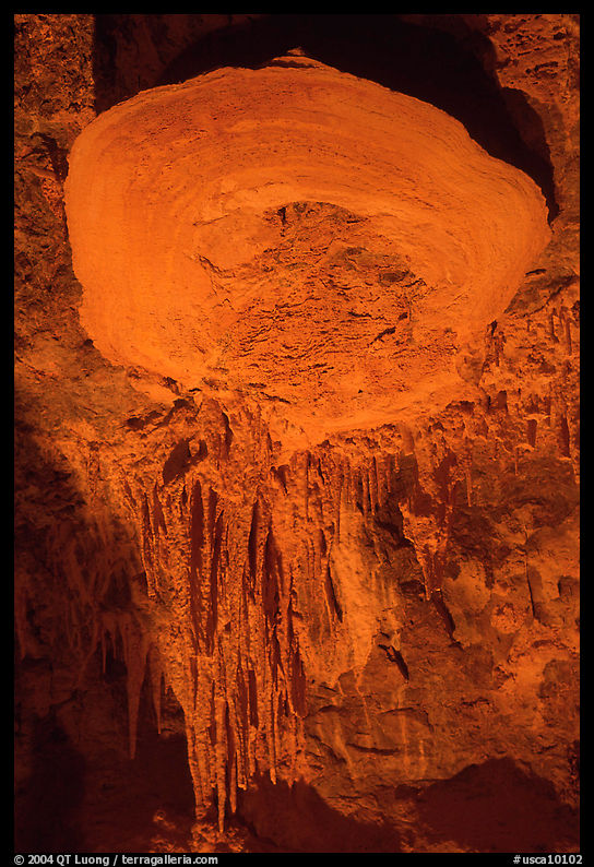 Rare parachute cave formations, Mitchell caverns. Mojave National Preserve, California, USA