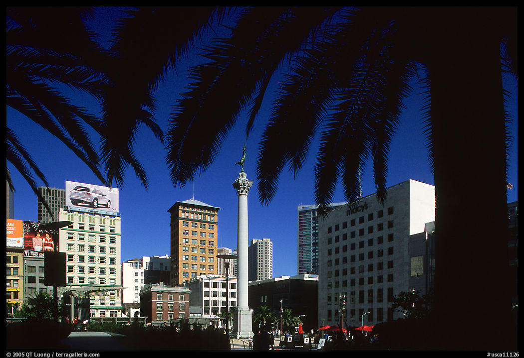 Union square framed by palm trees, afternoon. San Francisco, California, USA