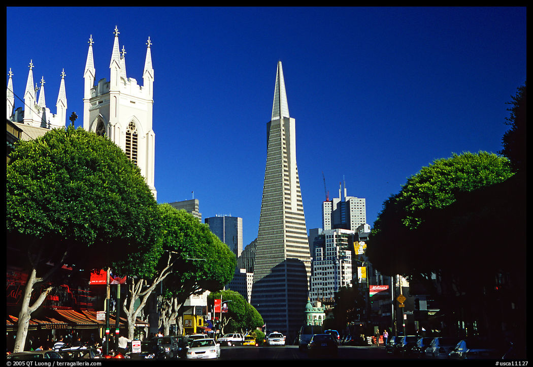 Cathedral and Transamerica Pyramid, North Beach, afternoon. San Francisco, California, USA