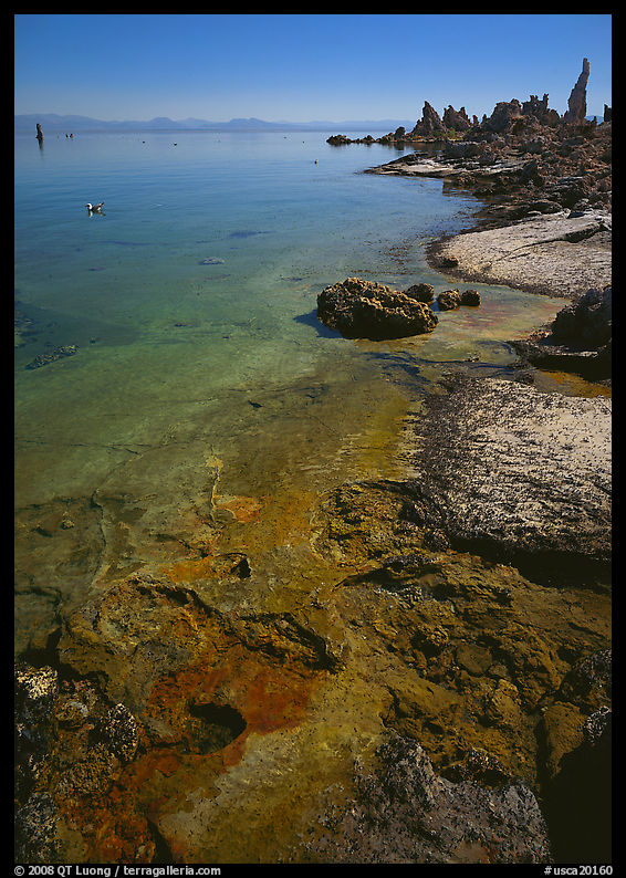 Colorful shore and tufa, mid-day. Mono Lake, California, USA