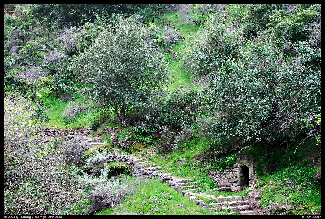 Pathway and stairs, Alum Rock Park. San Jose, California, USA